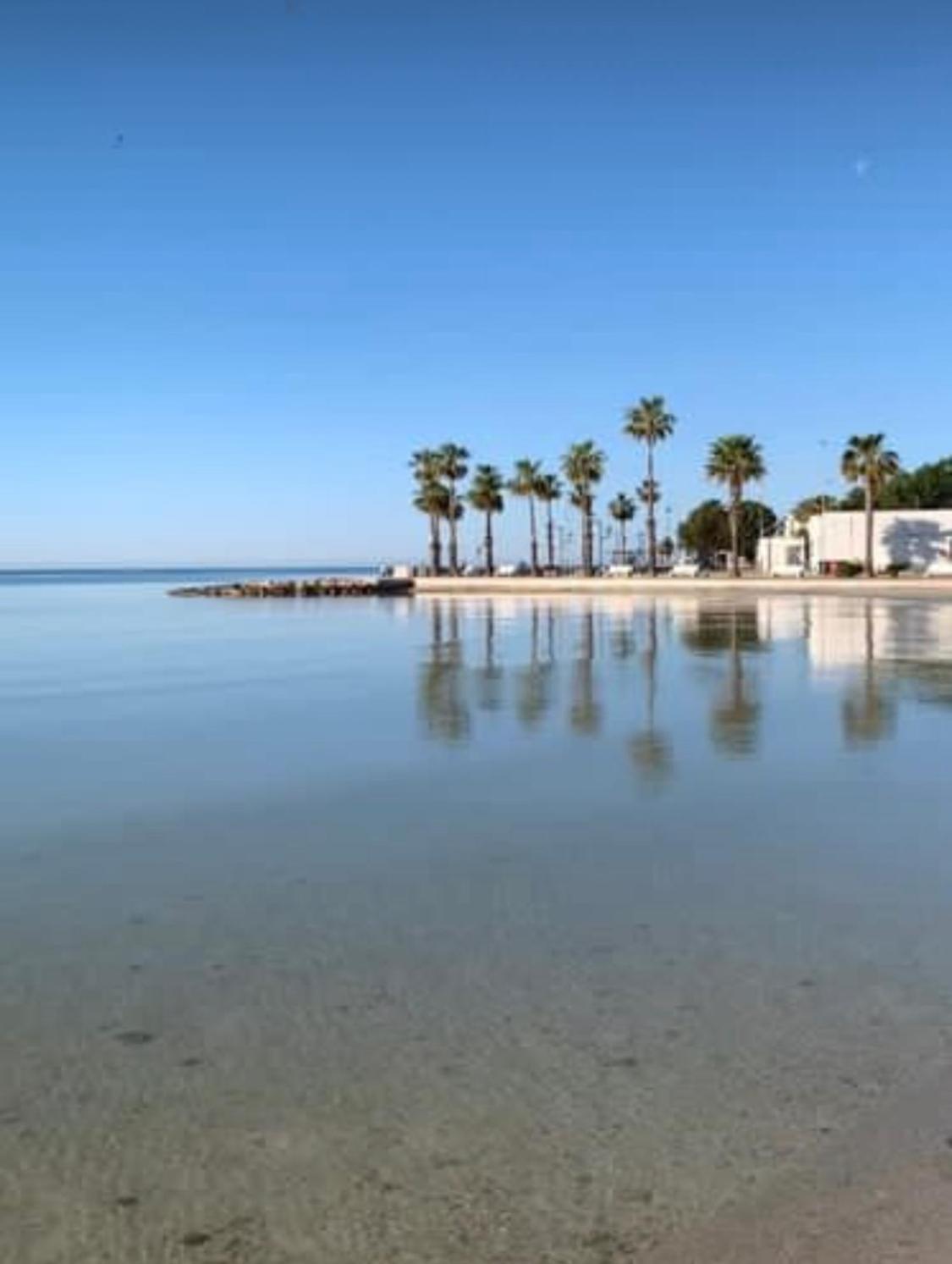 Apartamento Viva Vista Mare Trilo Primo Piano Porto Cesareo Exterior foto
